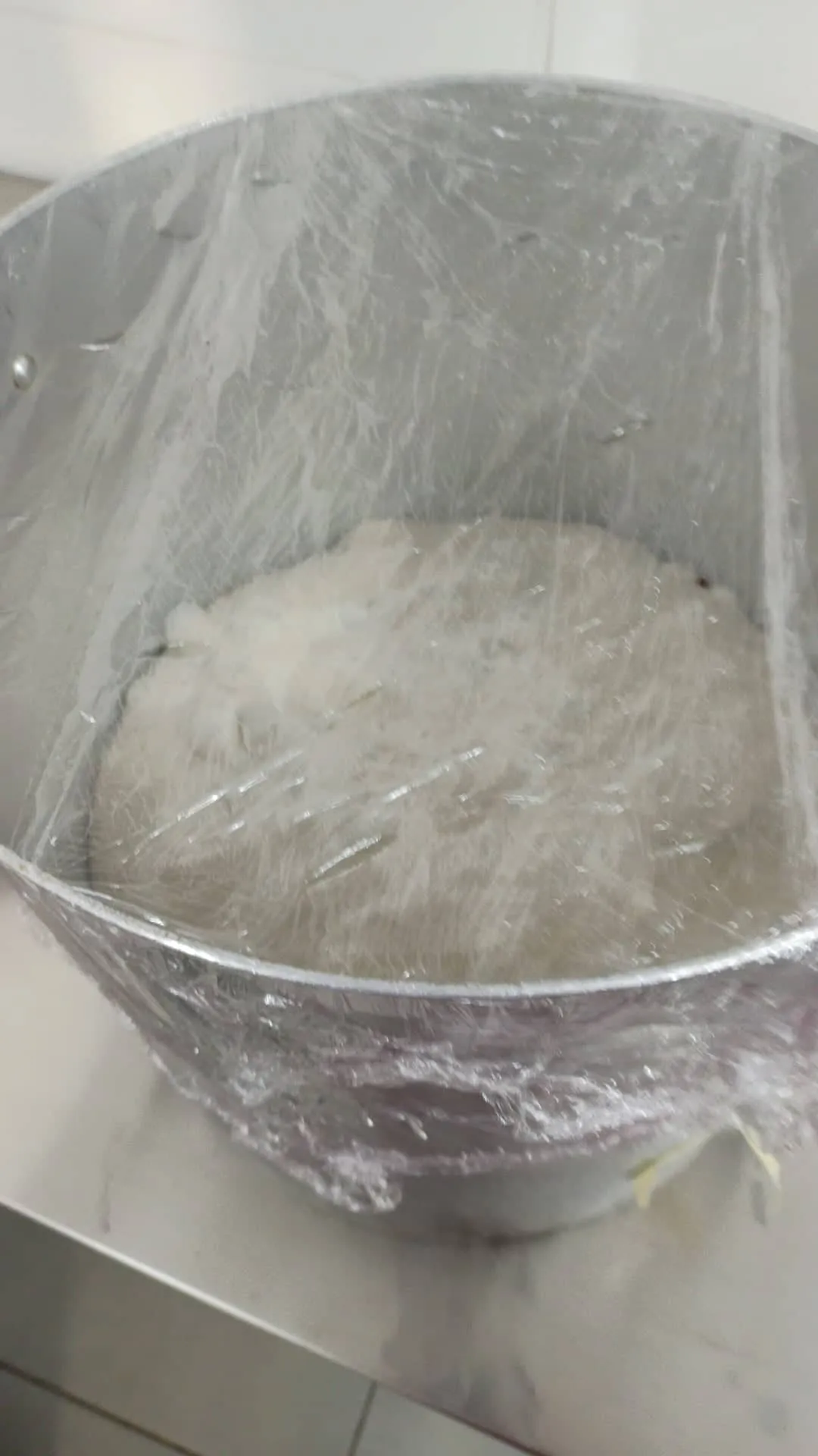 Pizza experimentation - Step 2 - Proofing